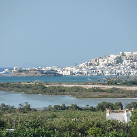 Naxian Spirit Suites & Apartments Agia Anna  Exterior photo