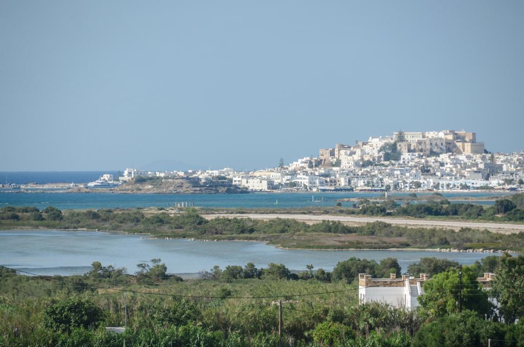 Naxian Spirit Suites & Apartments Agia Anna  Exterior photo
